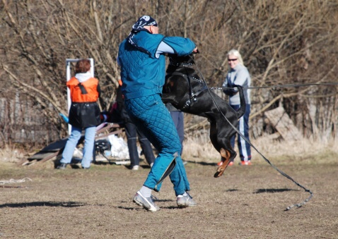 Training in Estonia 30.3 - 1.4. 2007